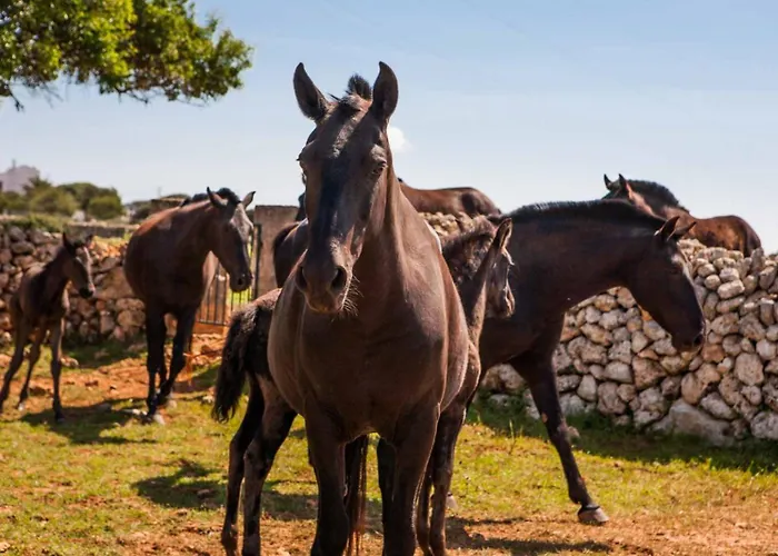 Cap Menorca Relais & Chateaux 5* Son Bou