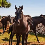 Cap Menorca Relais & Chateaux 5* 苏昂博