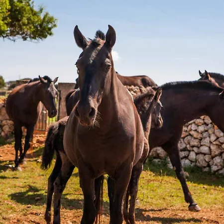 Cap Menorca Relais & Chateaux 5* Son Bou